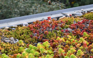 the cost of Riddle green roof installation