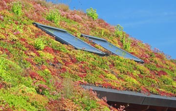 Riddle living roof systems