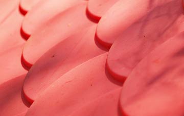 Riddle plastic roof costs